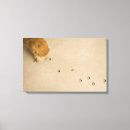 Search for high angle view canvas prints Indoors