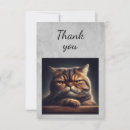 Search for grumpy cat cards Animal