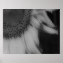 Search for macro focus Photography