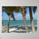 Search for tree key art Sand