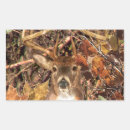 Search for white tail deer stickers Hunting