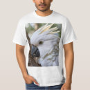 Search for cockatoo tshirts Parrot