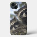 Search for procyon lotor electronics Racoon