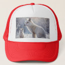 Search for arctic hats Dog