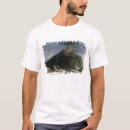 Search for eruption tshirts Lava