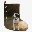Search for pet christmas stockings Modern