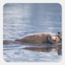 Search for alaska stickers Pacific ocean