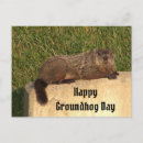Search for groundhog day postcards Nature