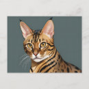 Search for bengal cats postcards Pet