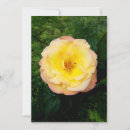 Search for insect cards Flower