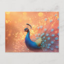 Search for plumage postcards Bird