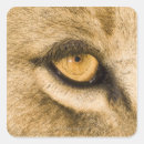 Search for dangerous animals stickers Outdoors