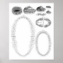 Search for dental posters Teeth