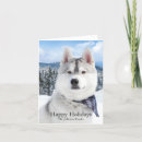 Search for pet name cards Create your own
