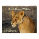 Search for south african calendars Lion