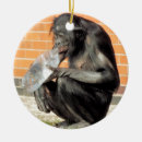 Search for chimpanzees christmas tree decorations Primates