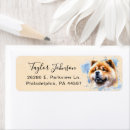 Search for chow return address labels Dog
