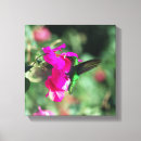 Search for throat canvas prints Flowers