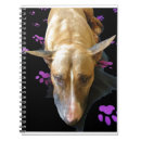 Search for english bull terrier gifts Pet