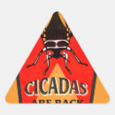 Search for cicada stickers Brood x