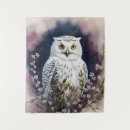 Search for fantasy owl art Nature