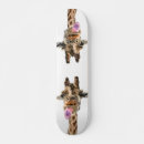 Search for cartoons skateboards Fun
