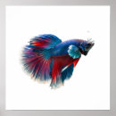 Search for swim design posters Modern