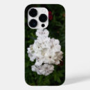 Search for carnations iphone cases Flowers
