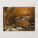 Search for rushing postcards Autumn