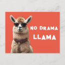 Search for alpaca postcards Funny