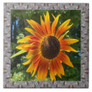 Search for 6 x 6 tiles Flowers