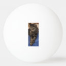 Search for basketball ping pong balls Pets