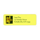 Search for trumpet return address labels Flowers