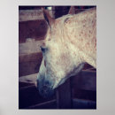 Search for stall posters Horse