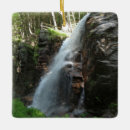 Search for new hampshire christmas tree decorations Nature