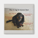 Search for beg magnets Dog