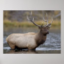 Search for rolf nussbaumer art Wyoming