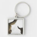 Search for separate key rings Separation