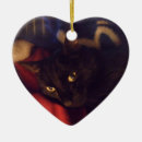 Search for ninja christmas tree decorations Kitty