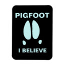 Search for sasquatch magnets Wildlife