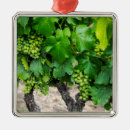 Search for grapes grape christmas tree decorations Green