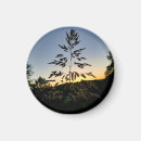 Search for grasses magnets Beautiful