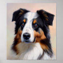Search for aussie shepherd posters Puppy