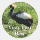 Search for crane stickers Grey crowned crane