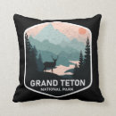 Search for vintage national park cushions Wyoming