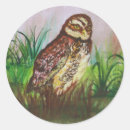 Search for brown owl stickers Watercolor
