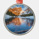 Search for landscaping christmas tree decorations Rocky mountains