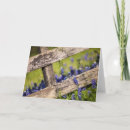 Search for country scene cards Meadow