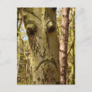 Search for tree face postcards Magic