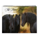 Search for equine photography Stallion